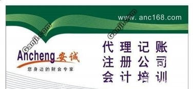 蜀山井崗路企業(yè)一站式財(cái)稅服務(wù)指南 代理記賬、進(jìn)出口權(quán)及審計(jì)變更全解析